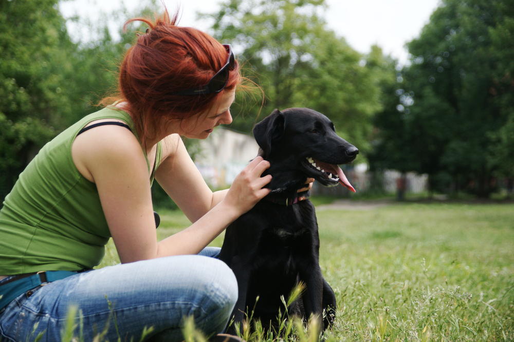Reduce Pet Business Costs Without Compromising Care Quality