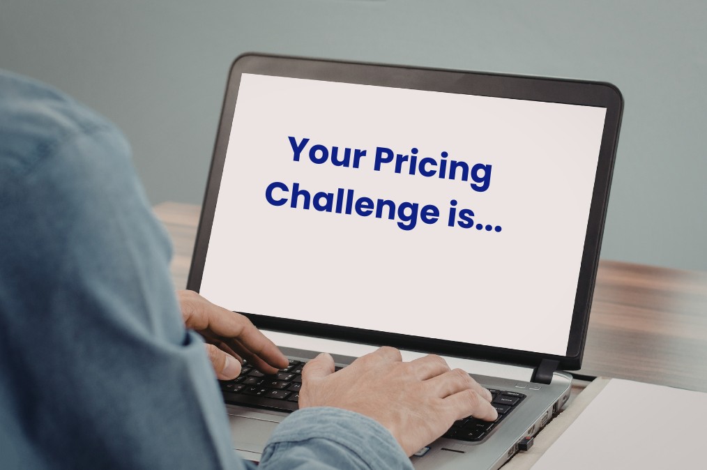 Pet care business owner reviewing pricing, revenue, and profit performance