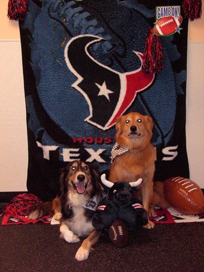 2 most adorable Houston Texans fans.